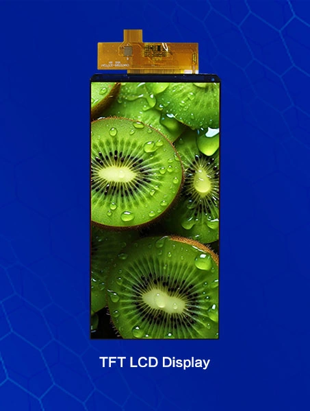 Jpg100 T3 Scale100 (1)